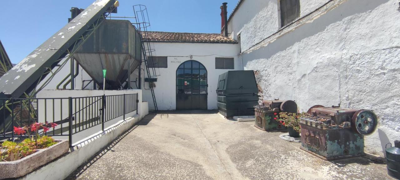 Molino El Vinculo Pensionat Zahara De La Sierra Eksteriør billede